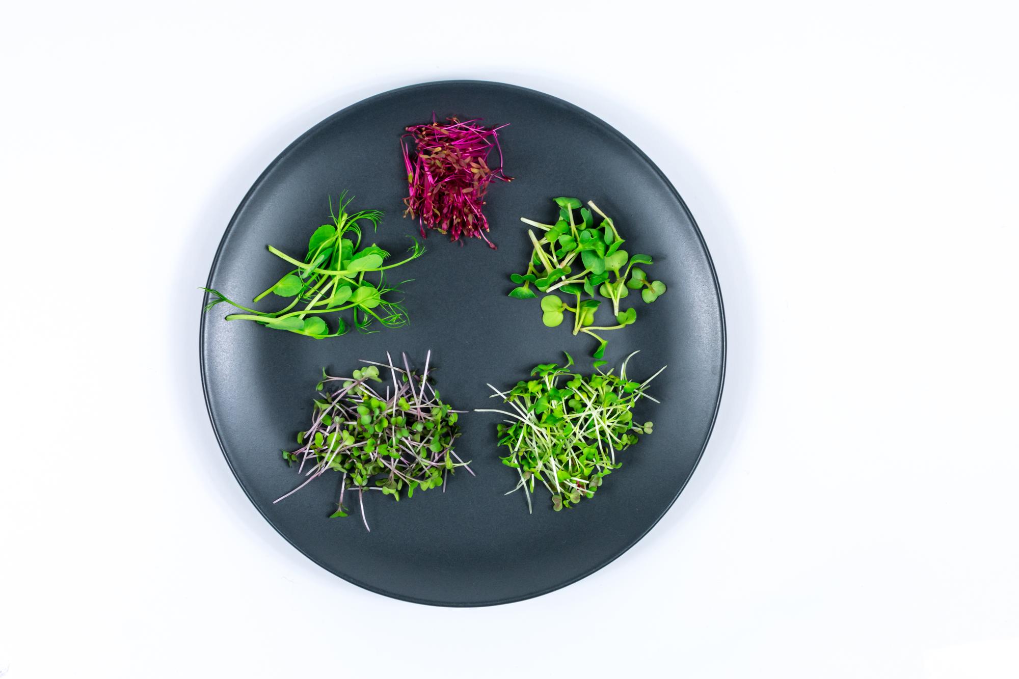 Plated dish with herbs